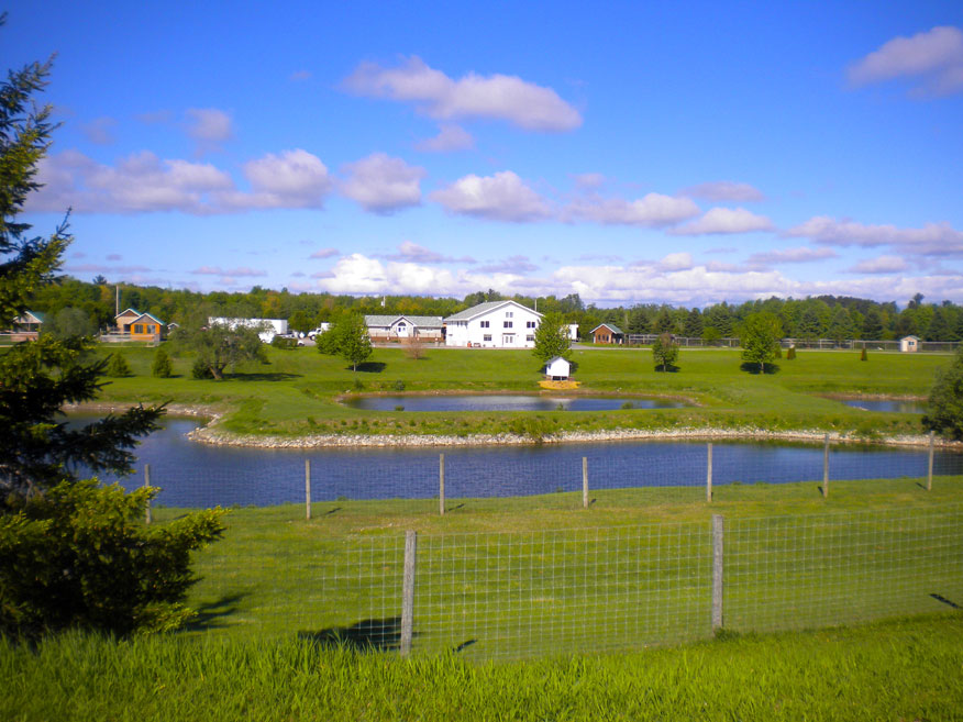 bearbrook farm